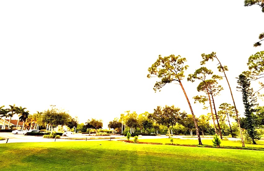 Eastwood Golf Club 11/12/25